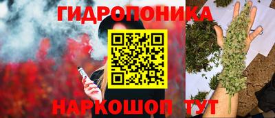 кокс Обь