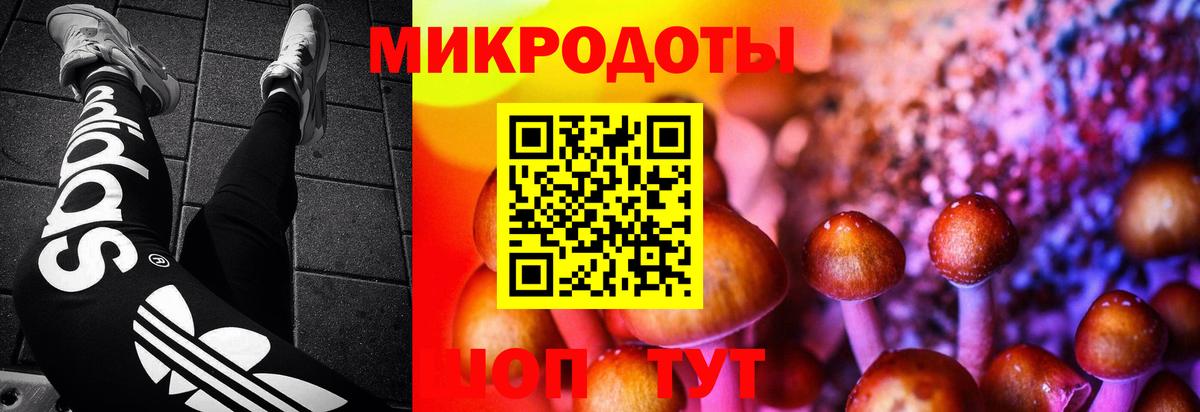 Симферополь  Галлюциногенные грибы Magic Shrooms  Вход с VPN 
